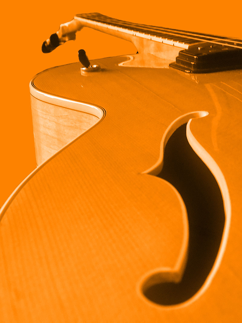 Bild einer halbakustischen Gitarre
